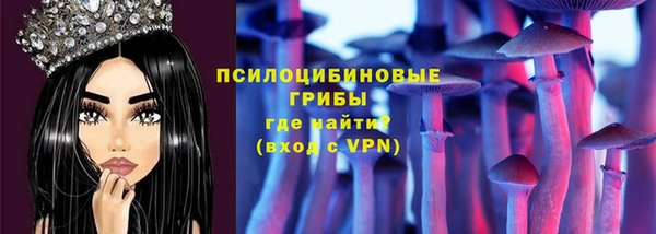 a pvp Инта