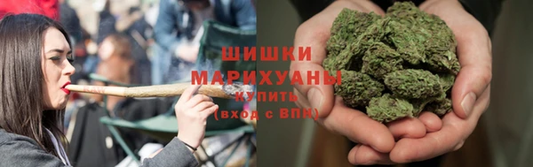 мет Инсар
