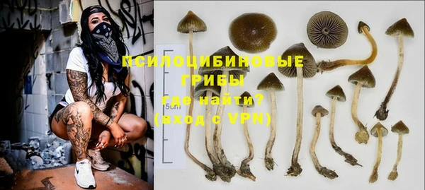 мет Инсар