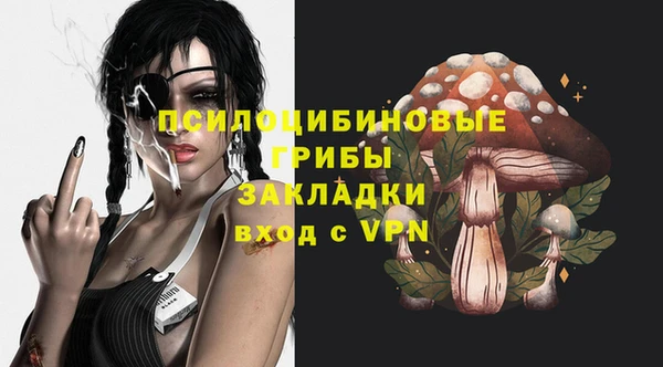 тгк Иннополис